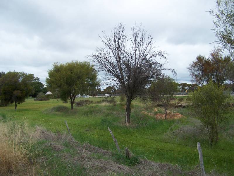 Rare 3 acre Rural Property Picture 2