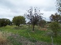 Rare 3 acre Rural Property Picture Rare 3 acre Rural Property Picture