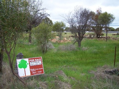 Rare 3 acre Rural Property Picture