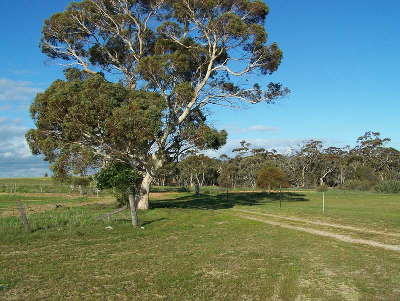 Awesome 167 acres!! Picture 2