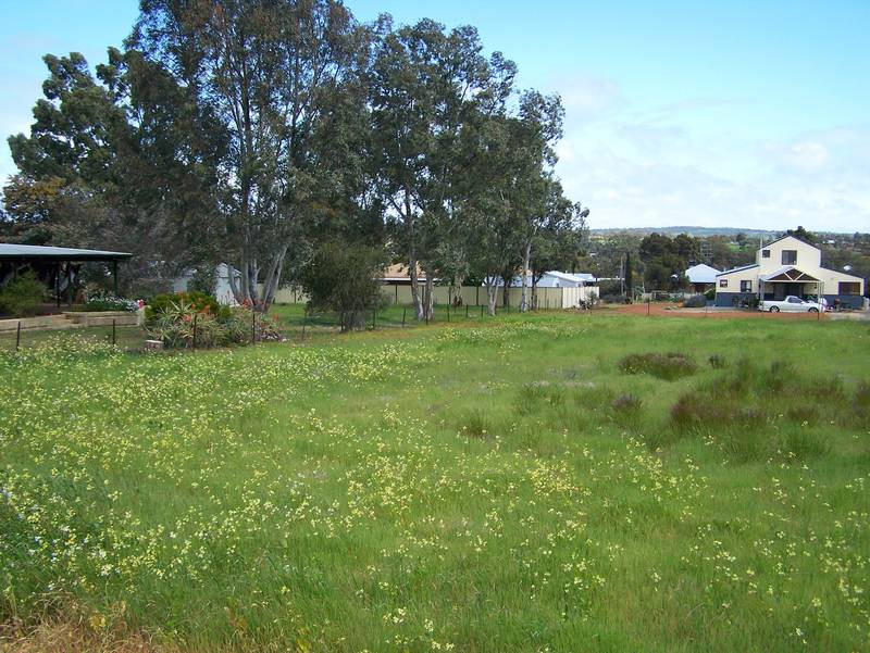 Delightful 1/2 acre Building Block Picture 3