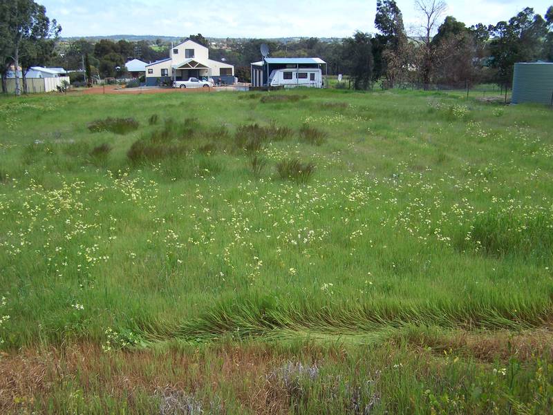 Delightful 1/2 acre Building Block Picture 1