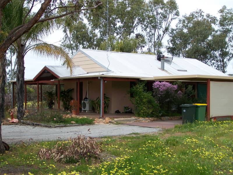 Olive Oil Lives Here !!! Picture 3