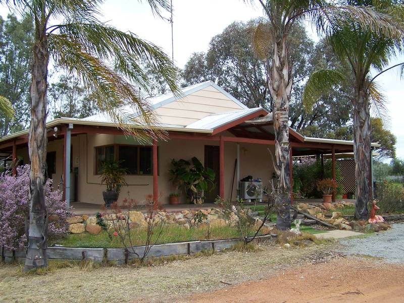 Olive Oil Lives Here !!! Picture 1