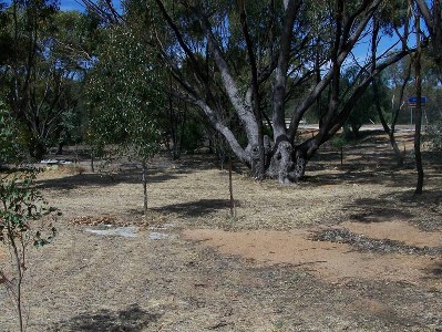 Bargain Basement Value!! Picture Bargain Basement Value!! Picture