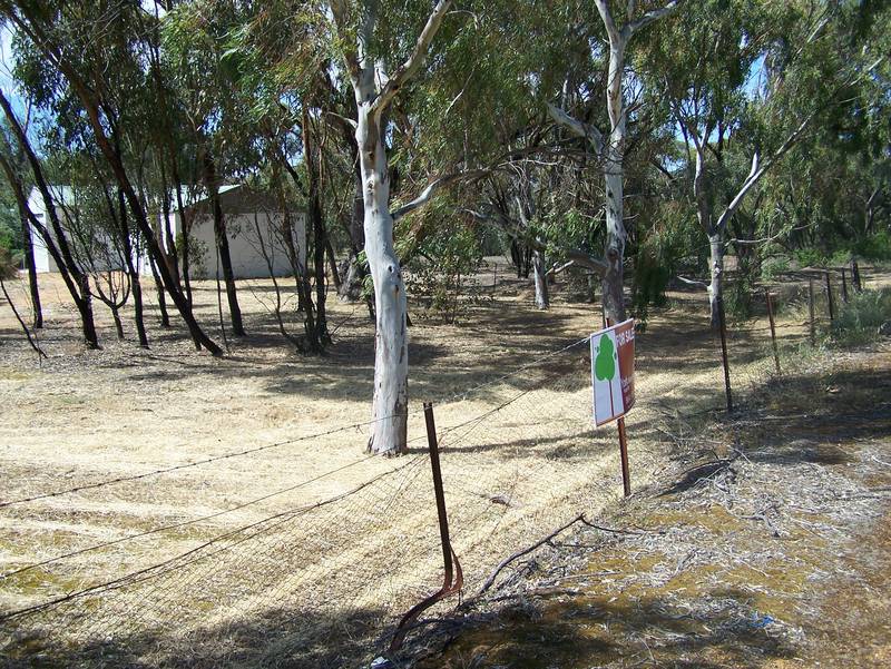 Bargain Basement Value!! Picture 2