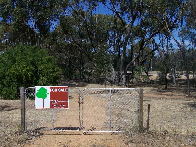 Bargain for you Picture 2