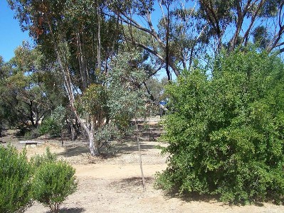 Bargain for you Picture Bargain for you Picture