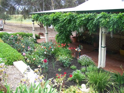 Australian Dream Waiting For You on 120 Acres!! Picture