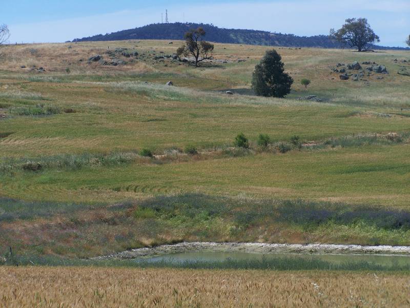 50 Acres ... Your Dreams Here Picture 2