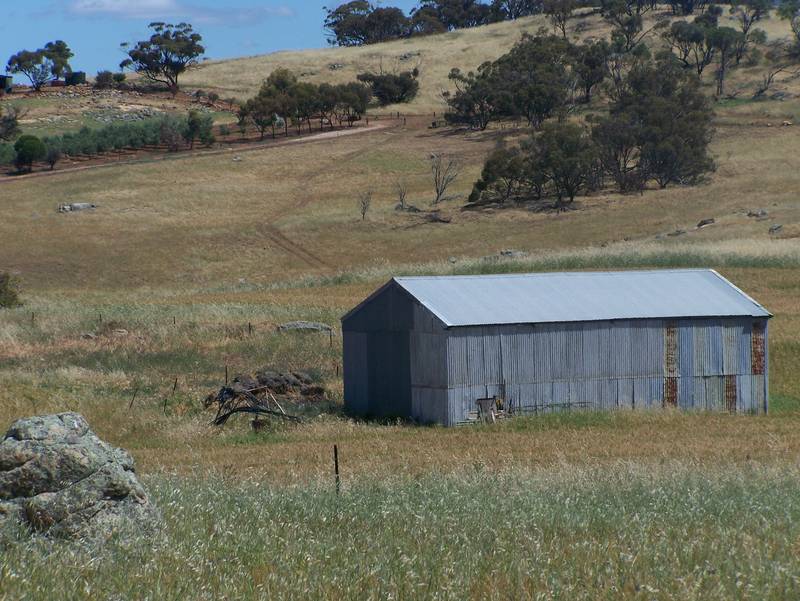 50 Acres ... Your Dreams Here Picture 1