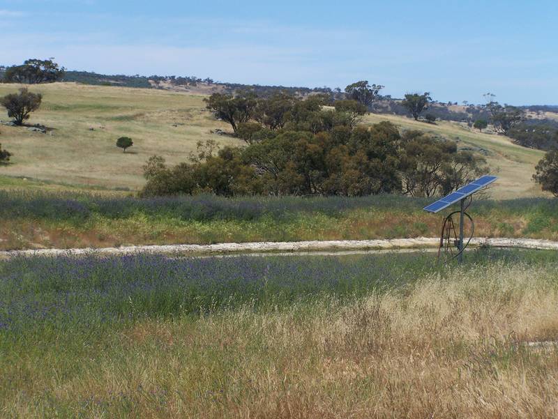 50 Acres ... Your Dreams Here Picture 3