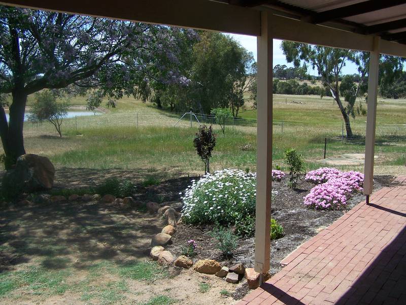 40
Deluxe acres, 5 Bedroom home, affordable value !! Picture 3