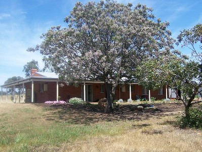 40
Deluxe acres, 5 Bedroom home, affordable value !! Picture