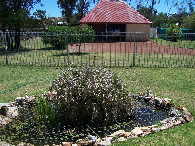 Kings Head Guest House Picture 3