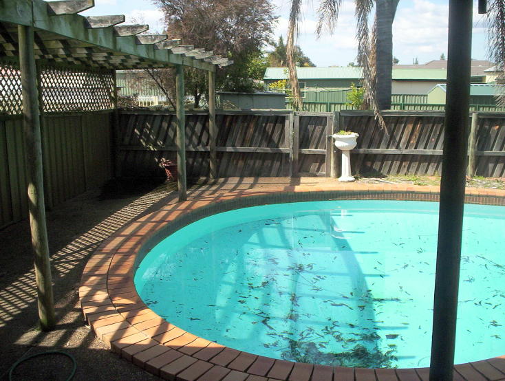 DELIGHTFULLY SUPRISING Picture 3