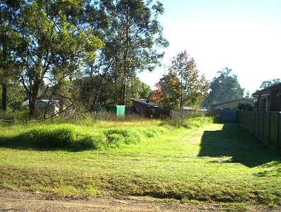 Dirt Cheap Dirt Picture