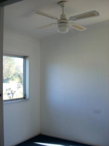 NEAT AND TIDY Picture