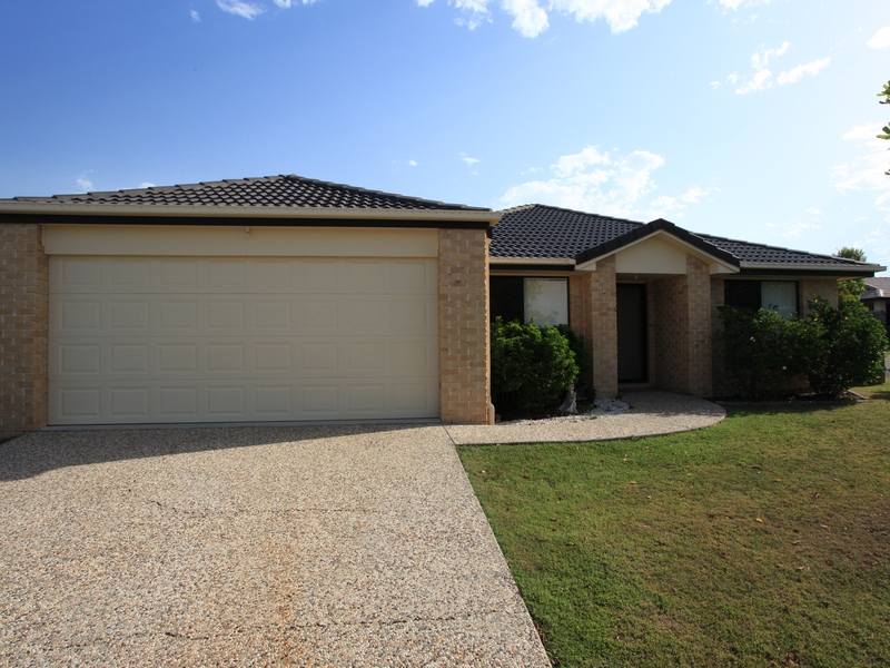 Stop! Look! Before you buy... Picture 2