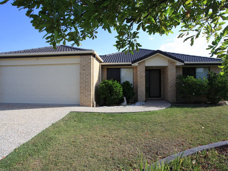 Stop! Look! Before you buy... Picture 1