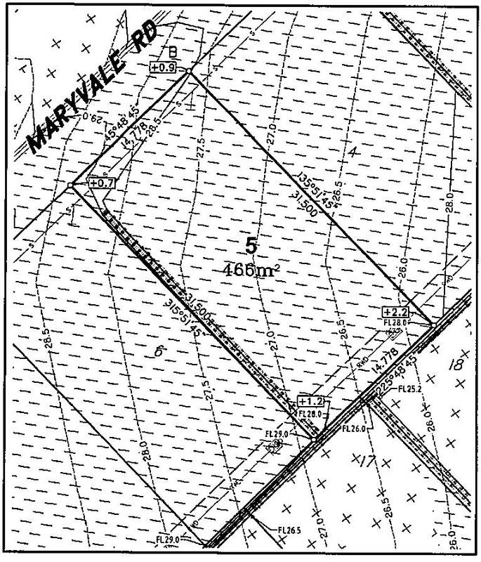 "Bottle Tree Grove" Picture 1