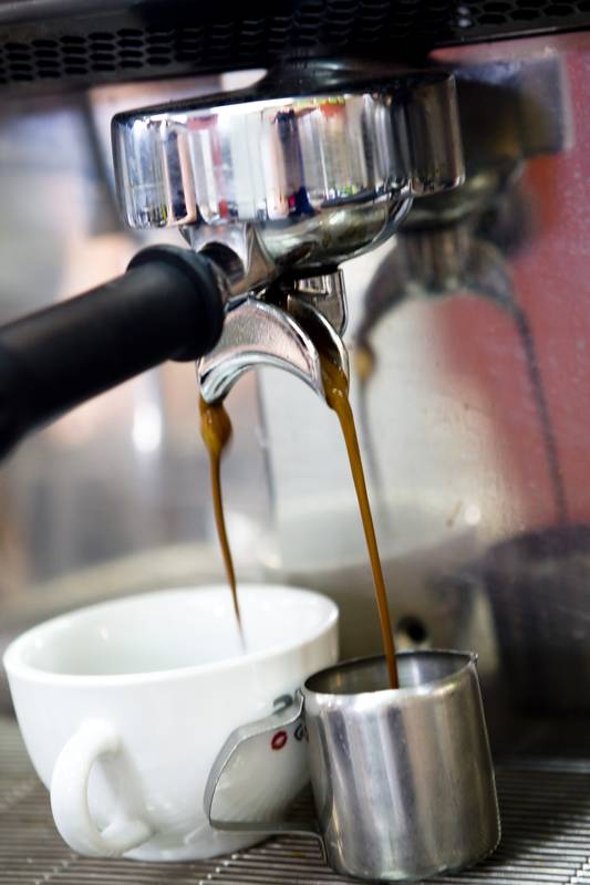 Join The Fresh Revolution! Picture 3