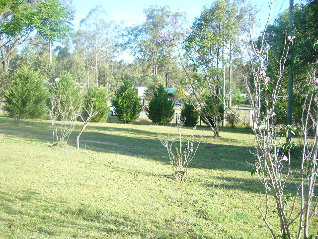 Classic Queenslander & Acreage - Unbeatable Combination! Picture 2