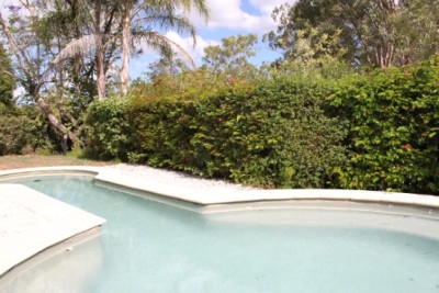 Fabulous Family Home and Sparkling Pool! Picture Fabulous Family Home and Sparkling Pool! Picture