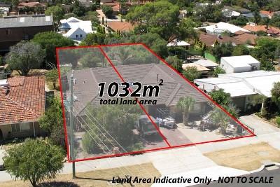 BEST OF BOTH WORLDS Picture