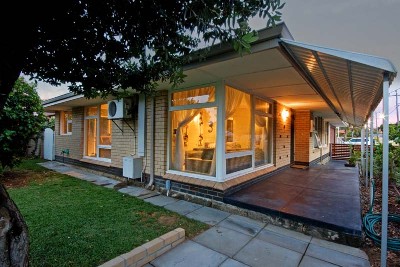 DIVE IN FOR A SEACHANGE Picture