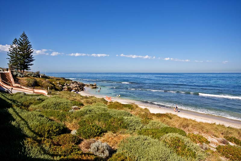 LAND RELEASE Picture 2