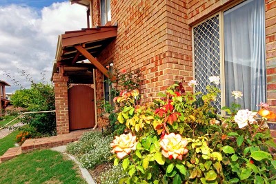 OVER 55'S SEACREST VILLAGE Picture