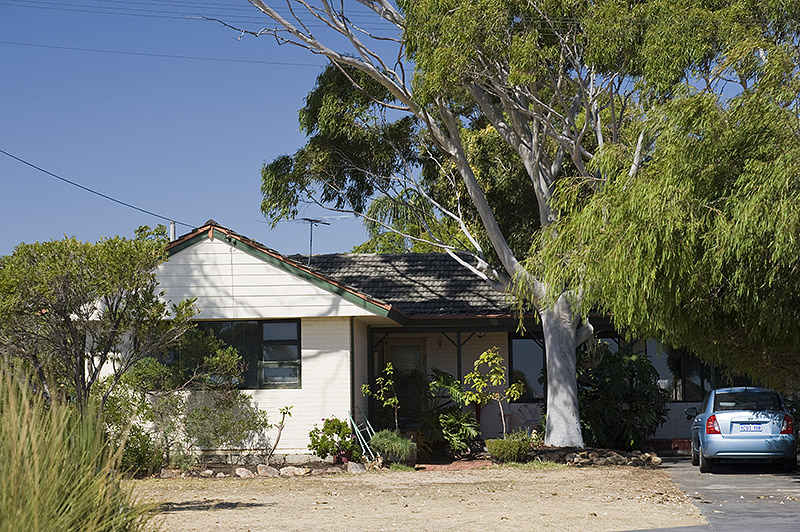 RIPE FOR THE TAKING Picture 1