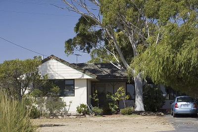 RIPE FOR THE TAKING Picture