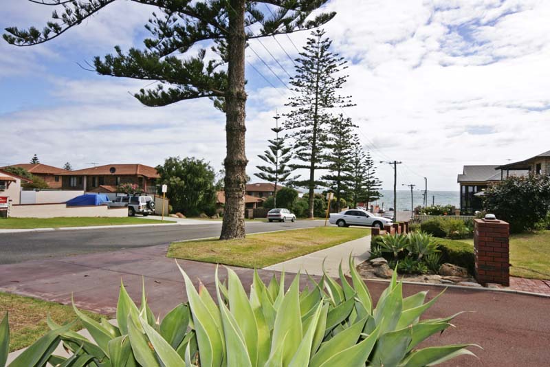 TRENDY BEACH PAD Picture 2