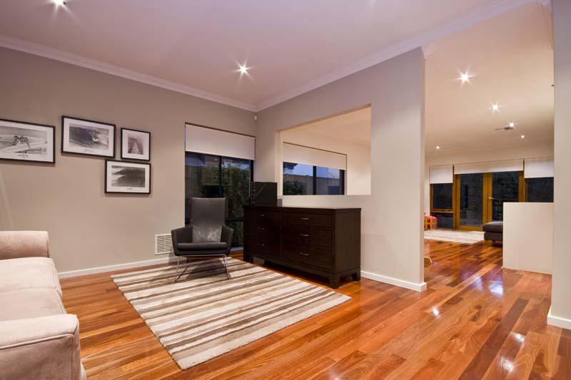 AS FREE AS A BIRD Picture 3