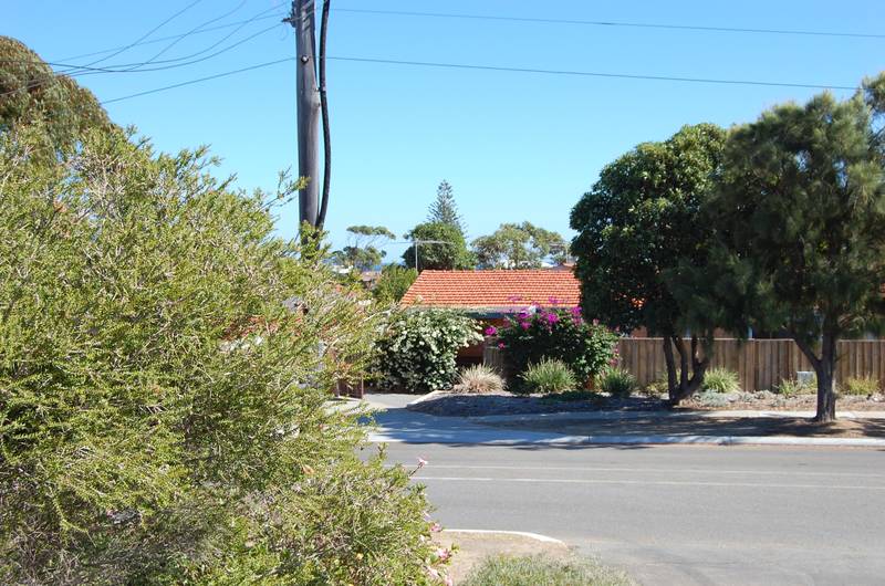 All Dressed Up Picture 2