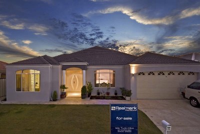 SOMETHING SPECIAL Picture