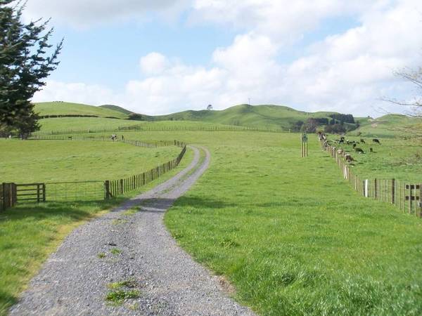MAGNIFICENT RUN-OFF-OVERLOOKING THE HAURAKI PLAINS AND BEYOND Picture 3