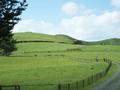 MAGNIFICENT RUN-OFF-OVERLOOKING THE HAURAKI PLAINS AND BEYOND Picture