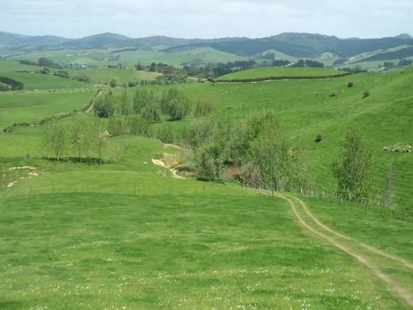 MAGNIFICENT RUN-OFF-OVERLOOKING THE HAURAKI PLAINS AND BEYOND Picture 1