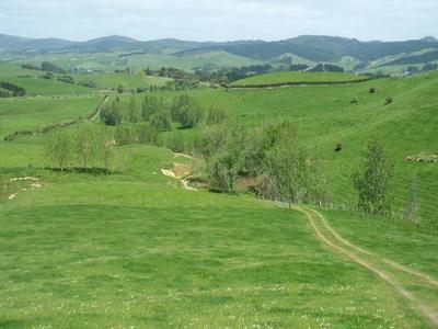 MAGNIFICENT RUN-OFF-OVERLOOKING THE HAURAKI PLAINS AND BEYOND Picture