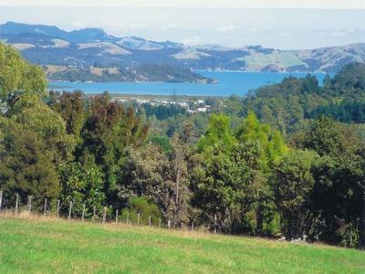 SUNNY AND SERENE Picture SUNNY AND SERENE Picture