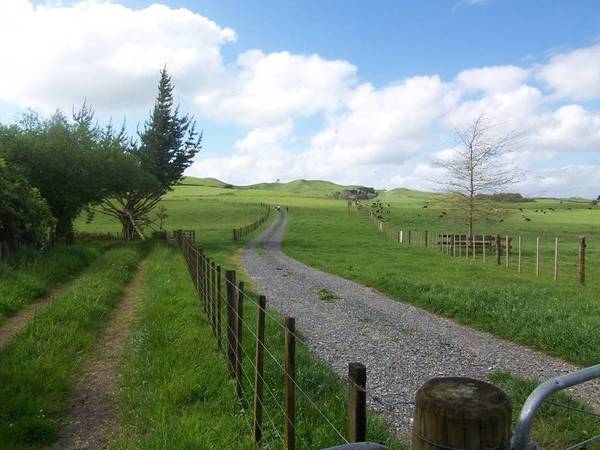 MAGNIFICENT RUN OFF - OVERLOOKING THE HAURAKI PLAINS Picture 2