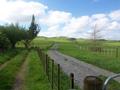 MAGNIFICENT RUN OFF - OVERLOOKING THE HAURAKI PLAINS Picture