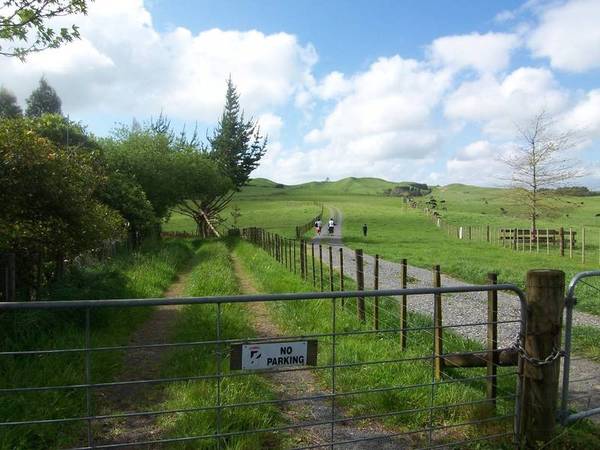 MAGNIFICENT RUN OFF - OVERLOOKING THE HAURAKI PLAINS Picture 1