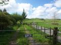 MAGNIFICENT RUN OFF - OVERLOOKING THE HAURAKI PLAINS Picture