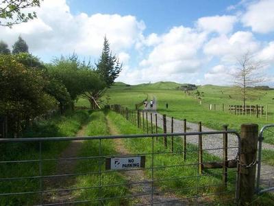 MAGNIFICENT RUN OFF - OVERLOOKING THE HAURAKI PLAINS Picture