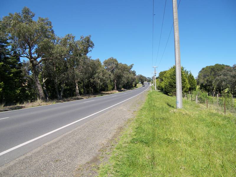 20 ACRES APPROX Picture 2