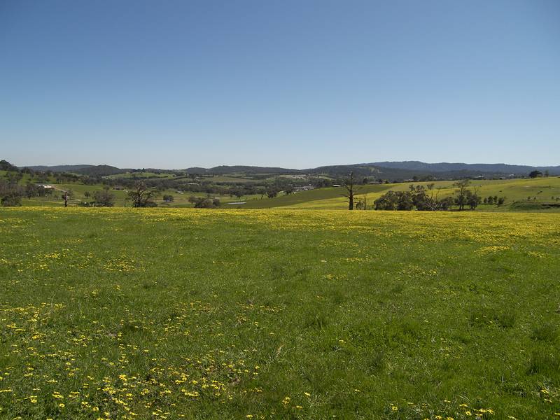 20 ACRES APPROX Picture 1